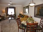 Tampa Apartments